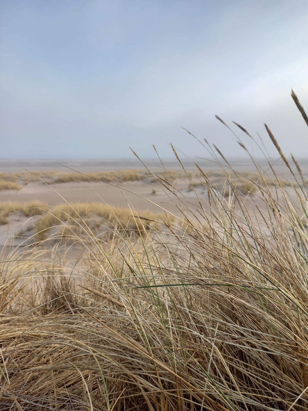 02 03 2025 dunes