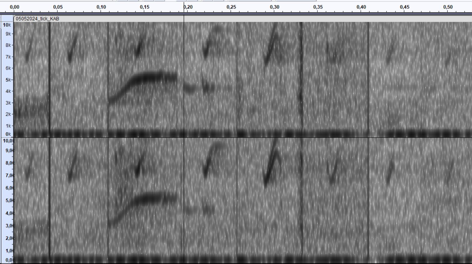 05.05.24 Spectrogram