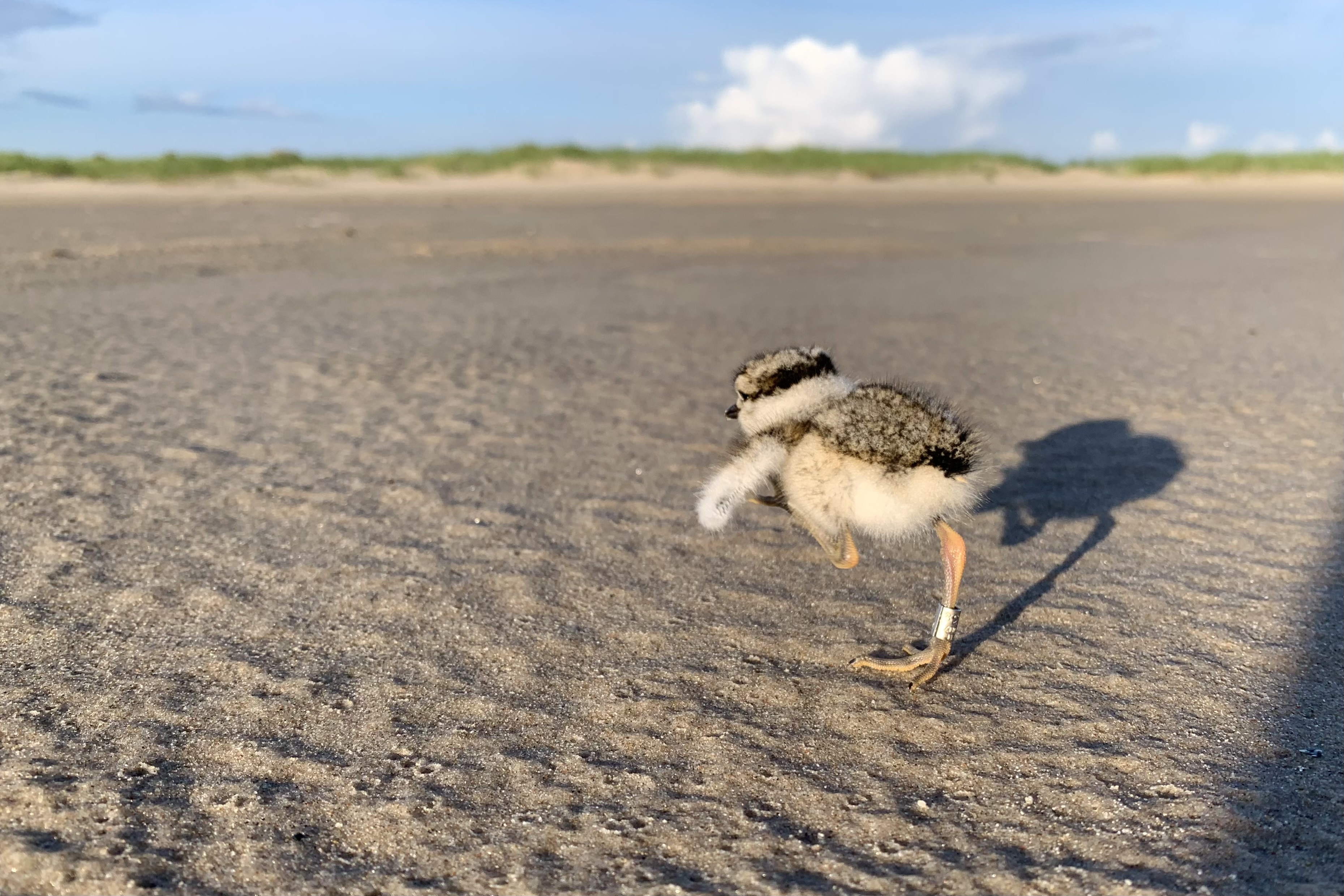 07062024 blog SK 6