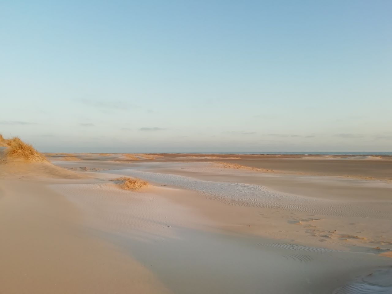 20240307_Grenen.jpg