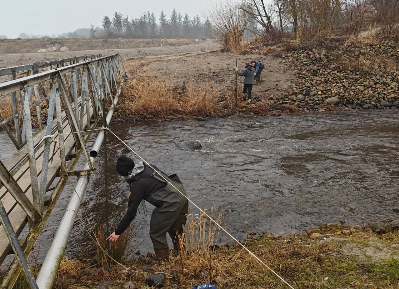 2026 03 07 DipperNet