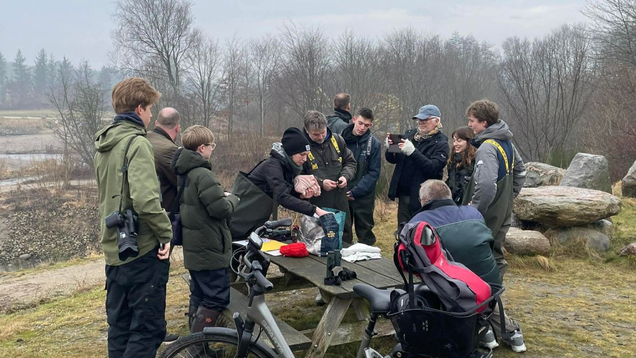 2026 03 07 DipperRinging