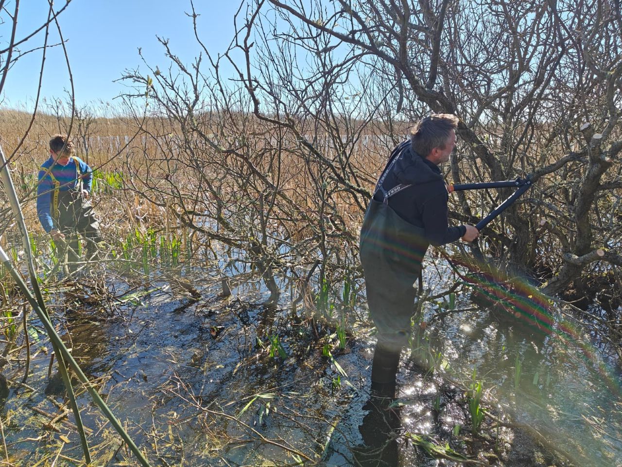 2026 04 24 Spotty Raptor Chaos 4