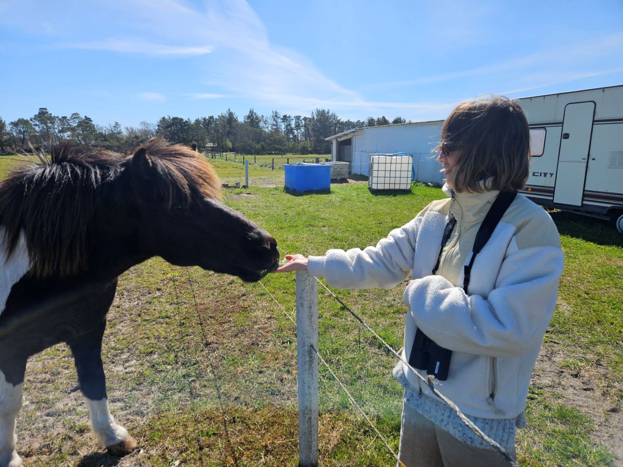 2026 04 28 Skagen Safari 2