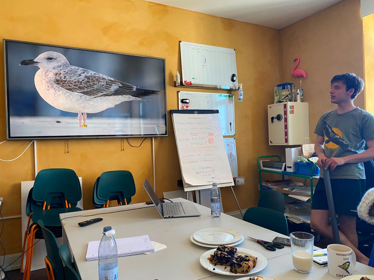 2026 06 24 Gull presentation blog pic