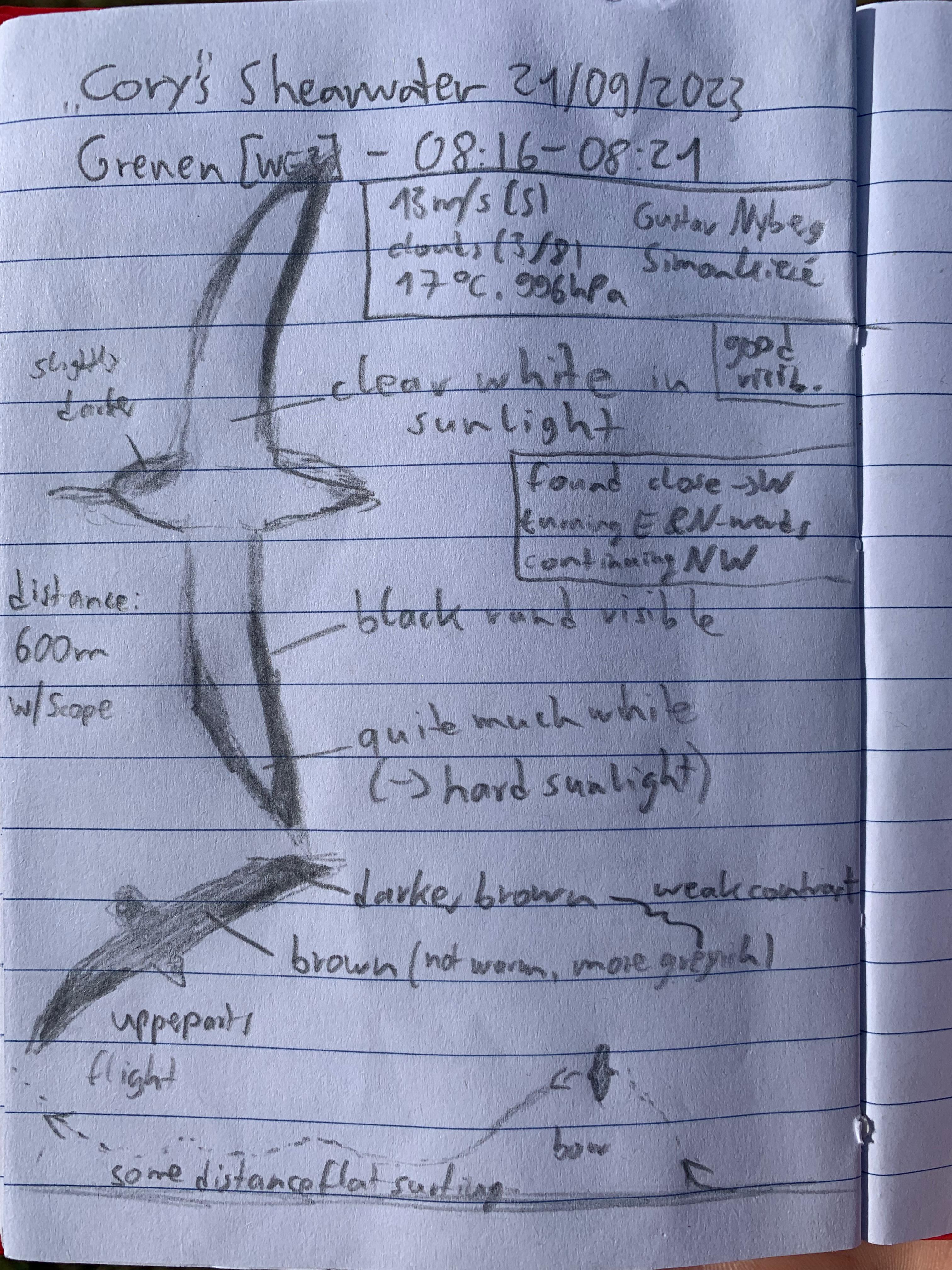 21.09.23 Corys Shearwater notes