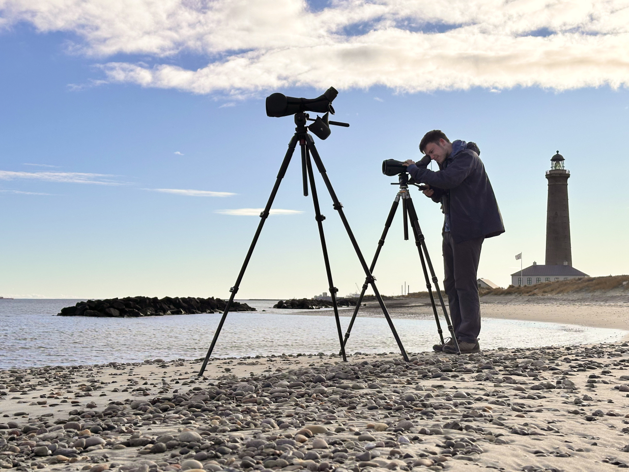 260326 Eider watching