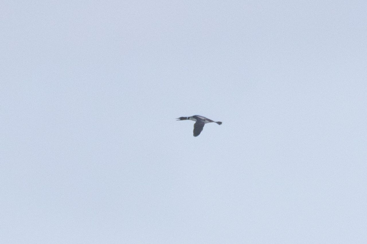 260515 GND
