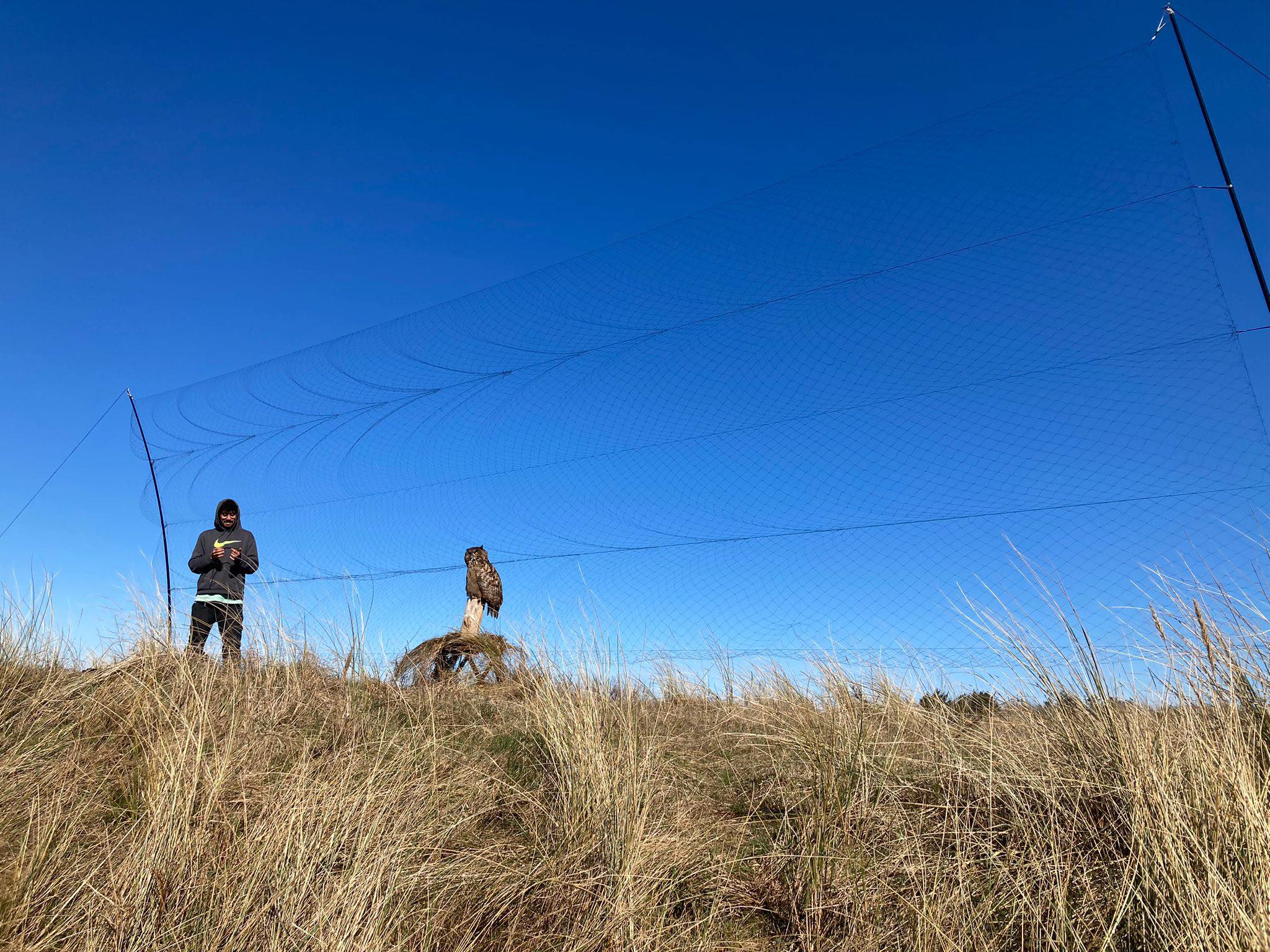 2nd April Raptor Net