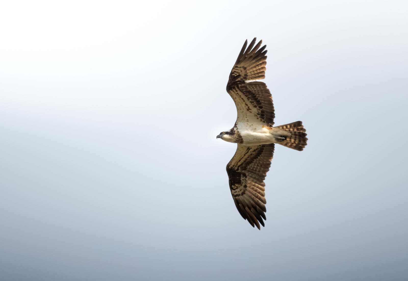 546c4b5e-3530-4919-b498-f4974b4a78a1.JPG