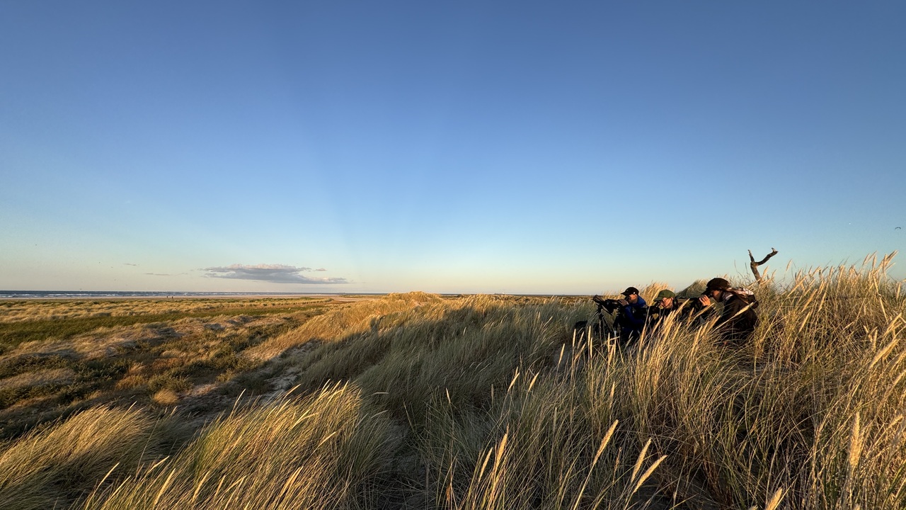 Aftenobs 19aug