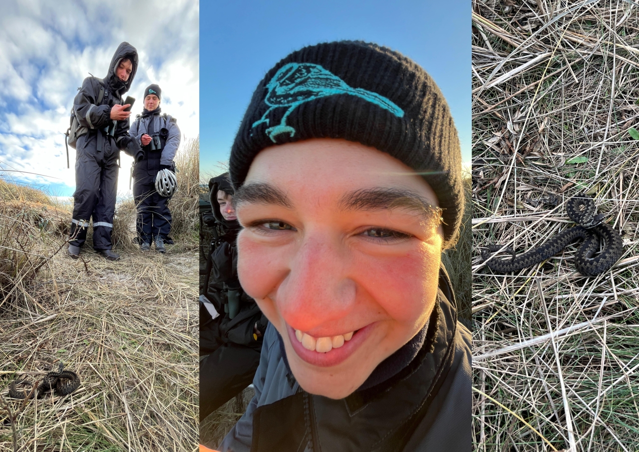 Amira and Adder 251125