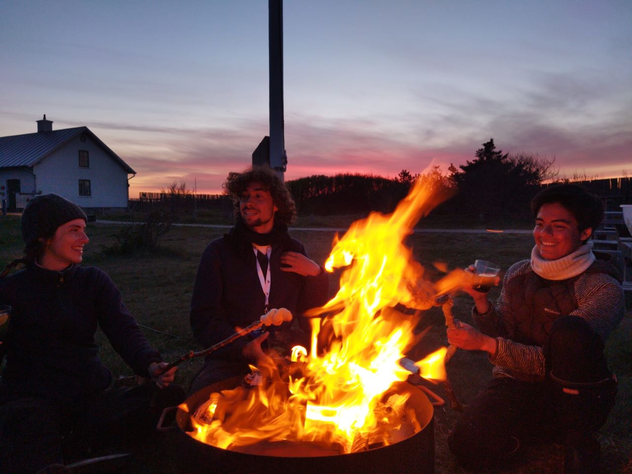 Barbecue_Alice_Robbe_Hanelie.jpeg