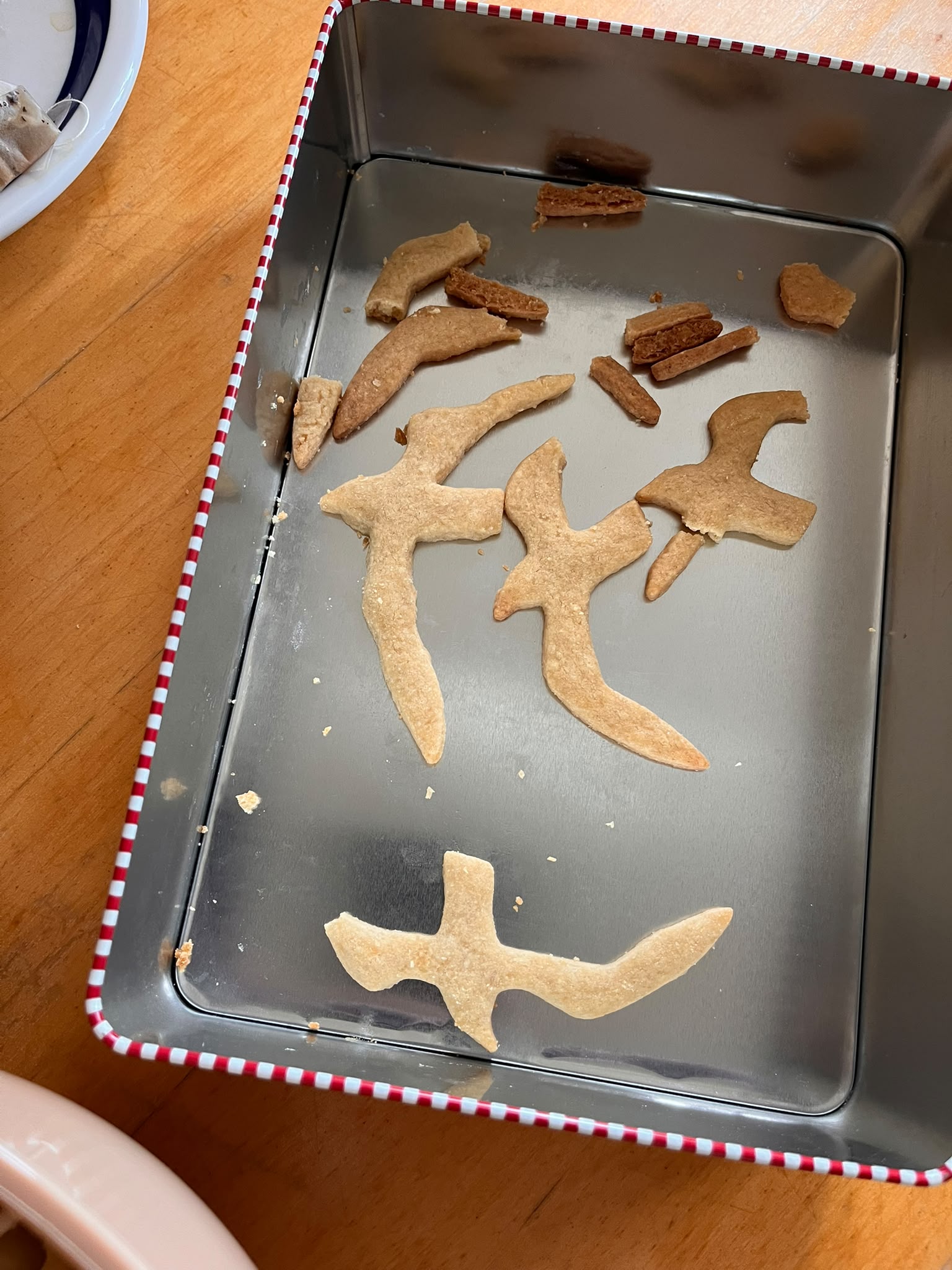 Biscuits_20260114.jpg