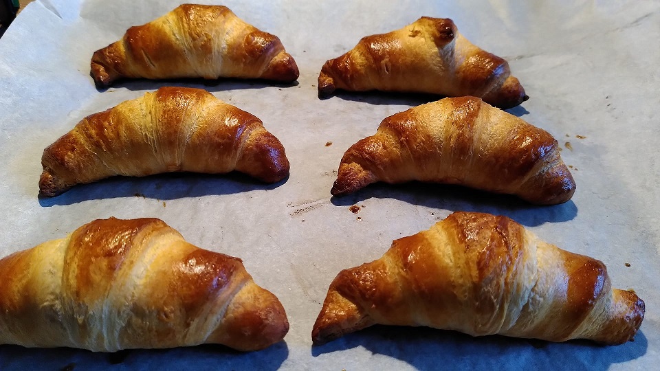 CannedCroissants_OBS_24112024.jpg