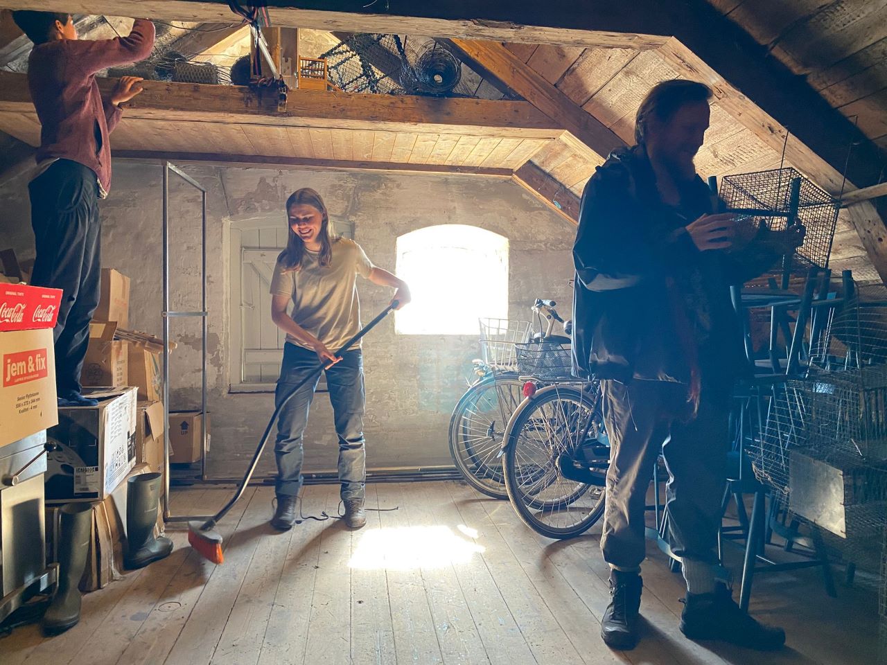 Cleanup_attic.jpg