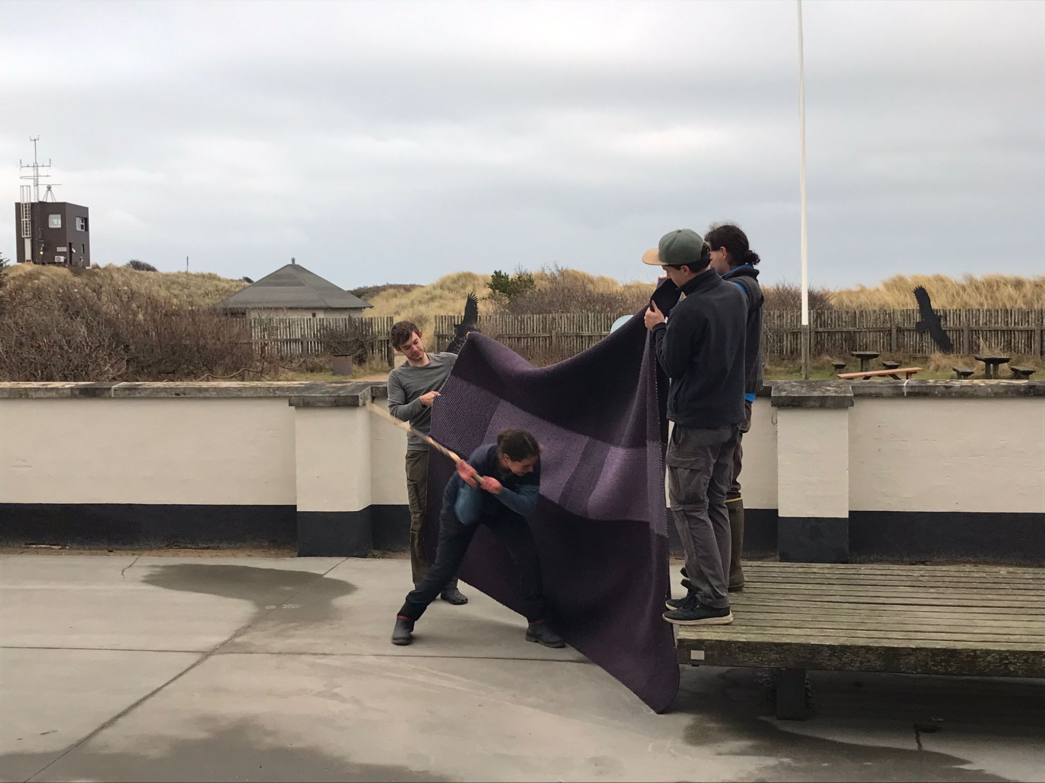 0612 carpet whacking