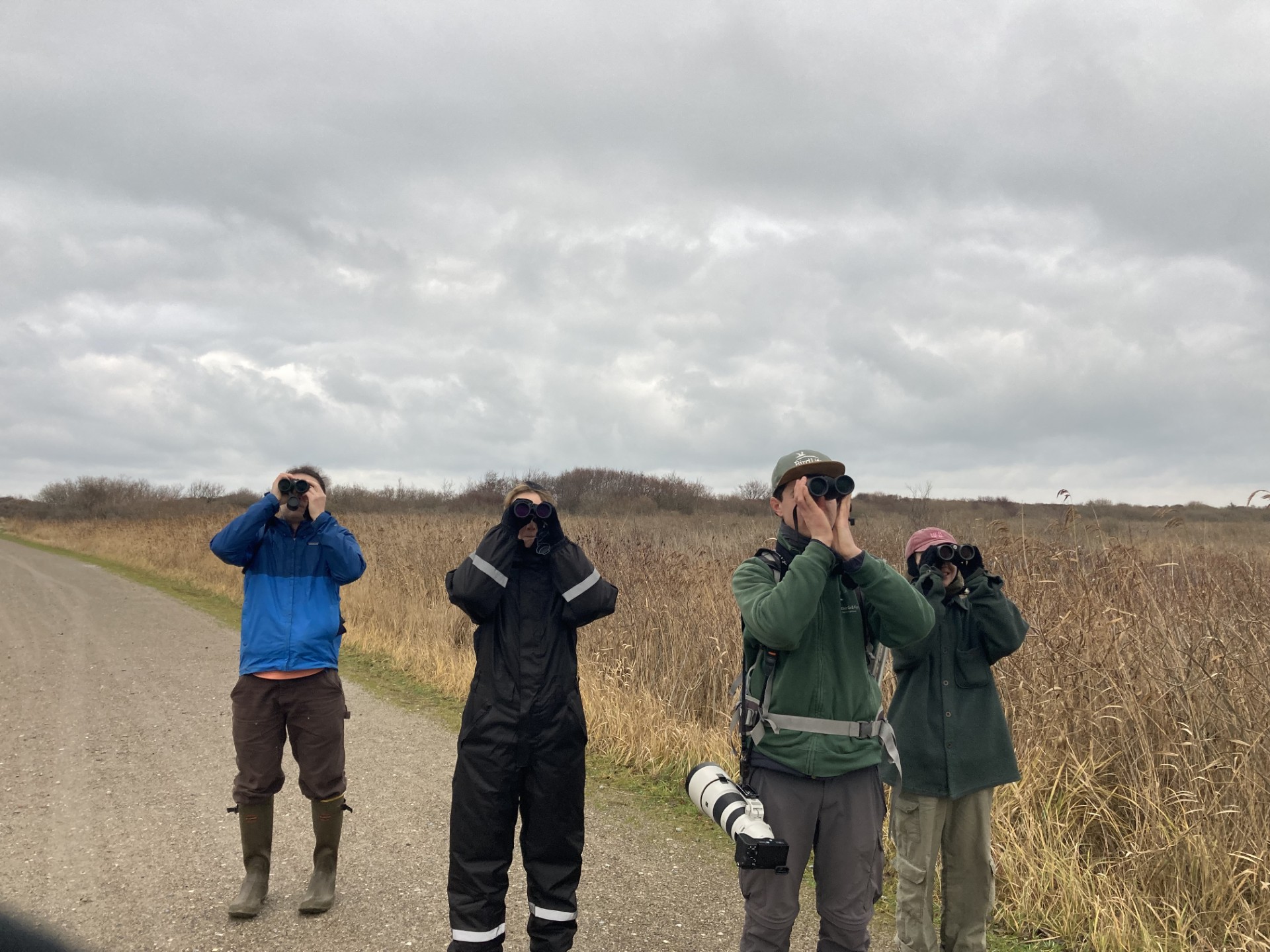 0612 group birding