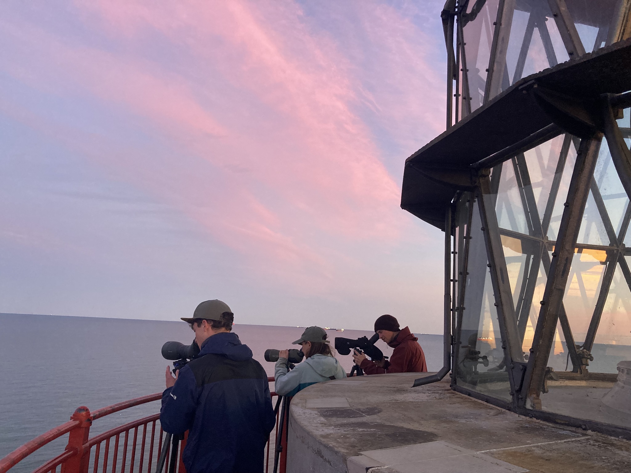 1210waterbirdcount