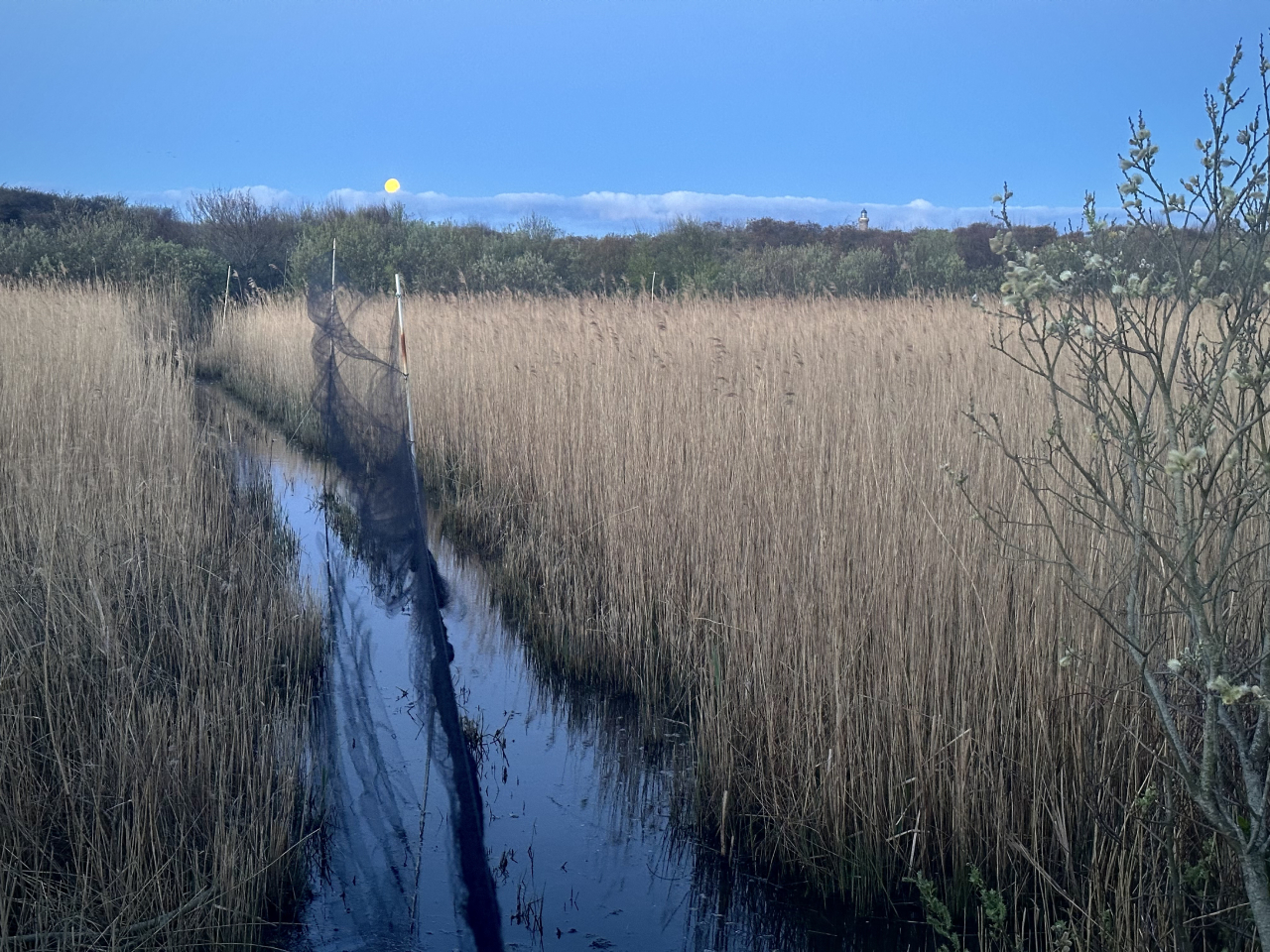 260505 moon