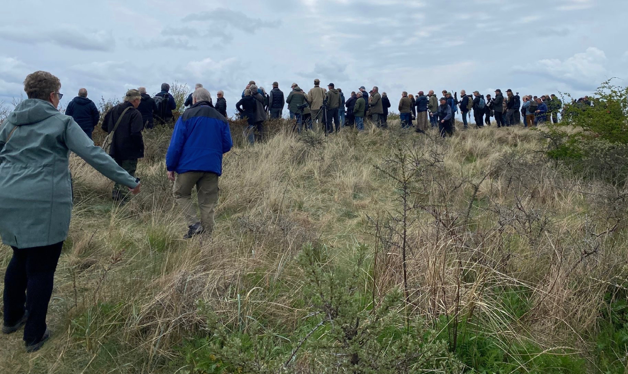 260510 twitchers