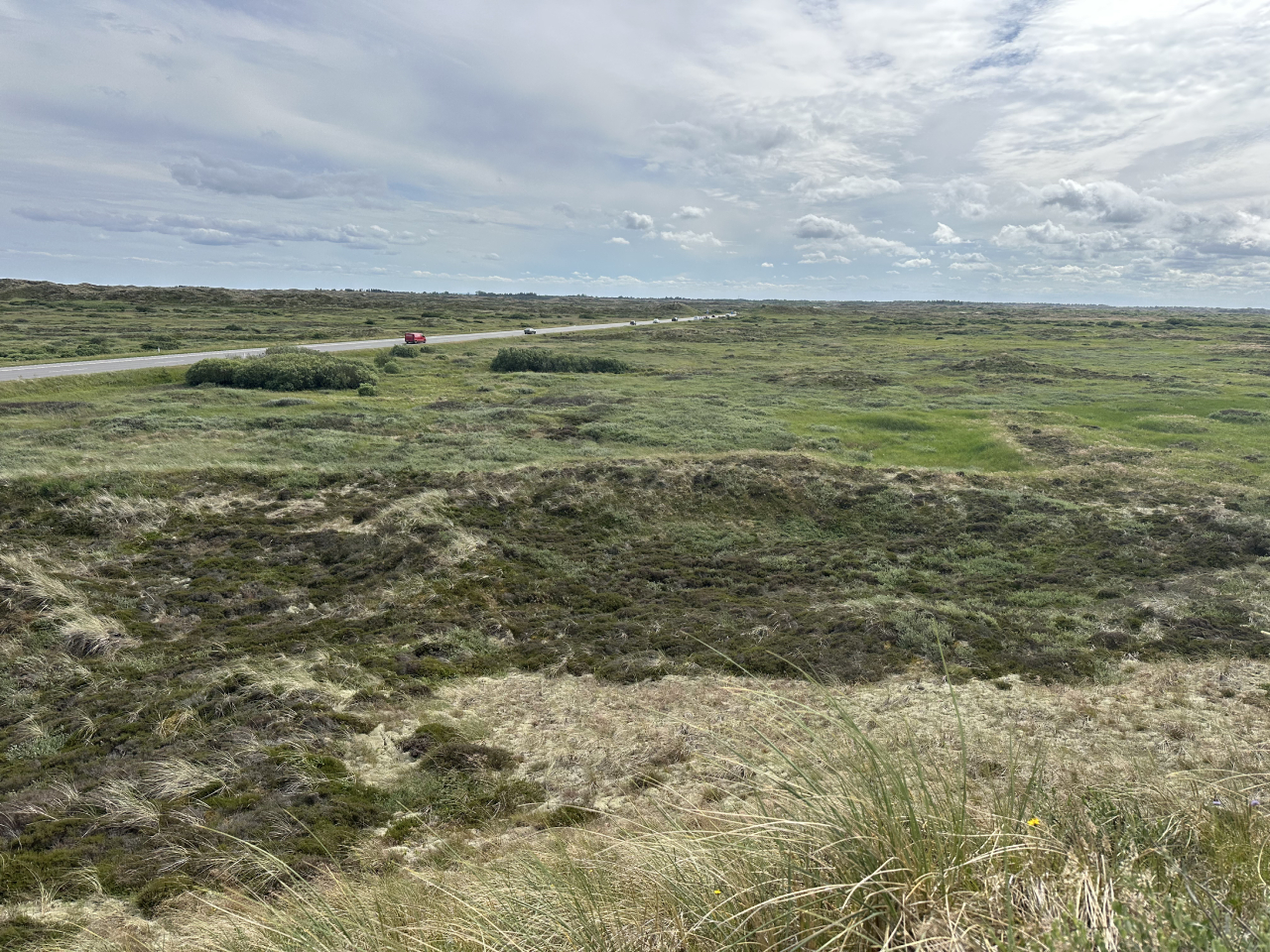 260630 Hulsig Hede