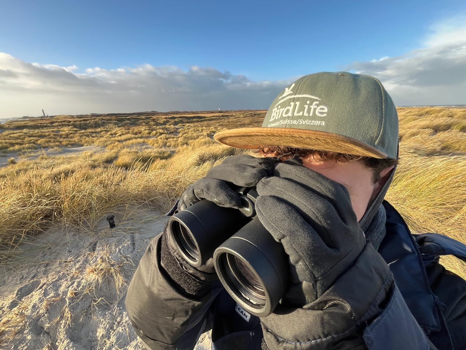 2911 florian observing