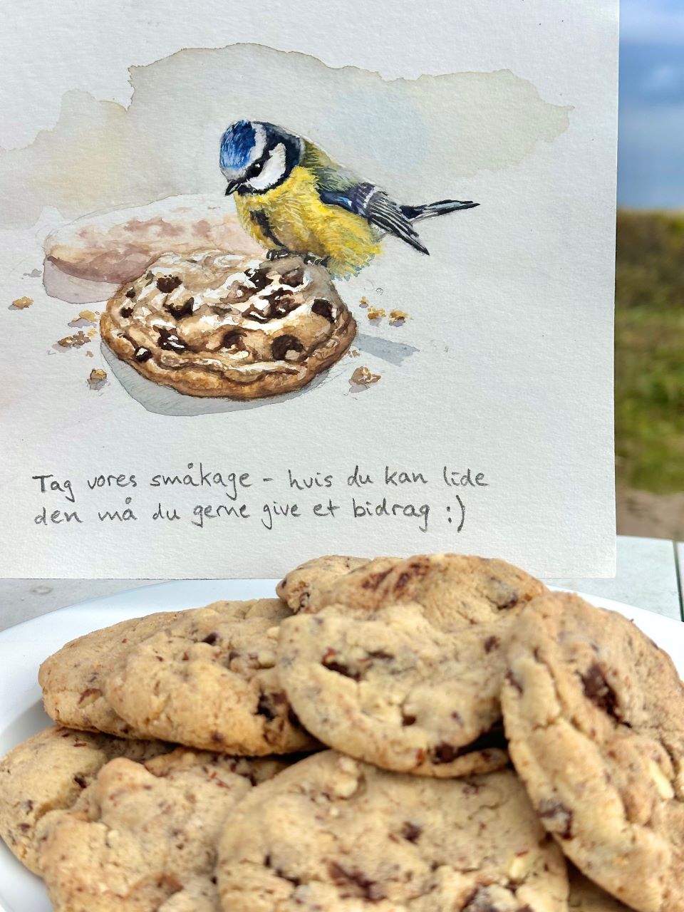 Cookies Kabeltromlen 2026 05 16 Julian Helbig