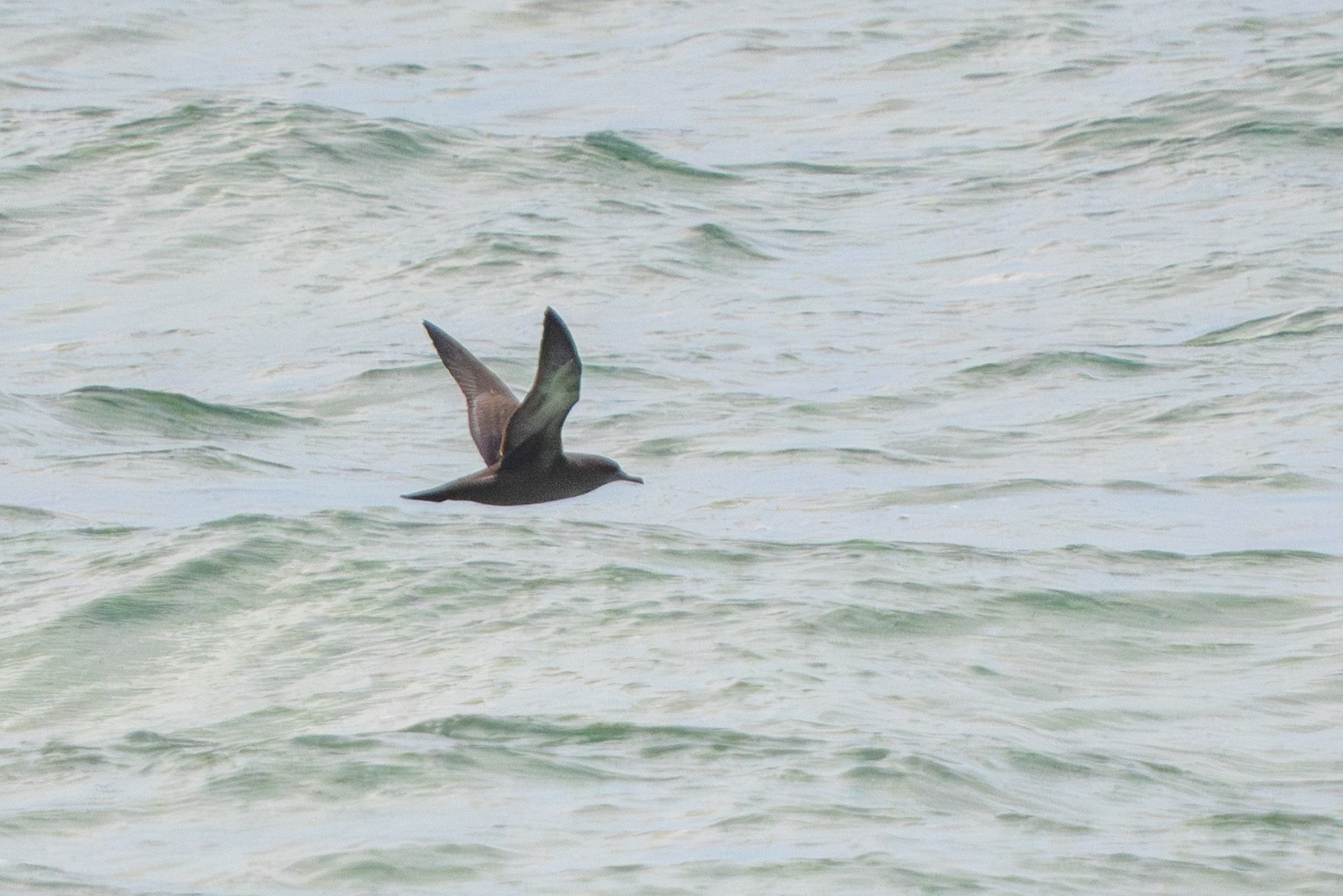 0611 sodfarvet skråpe