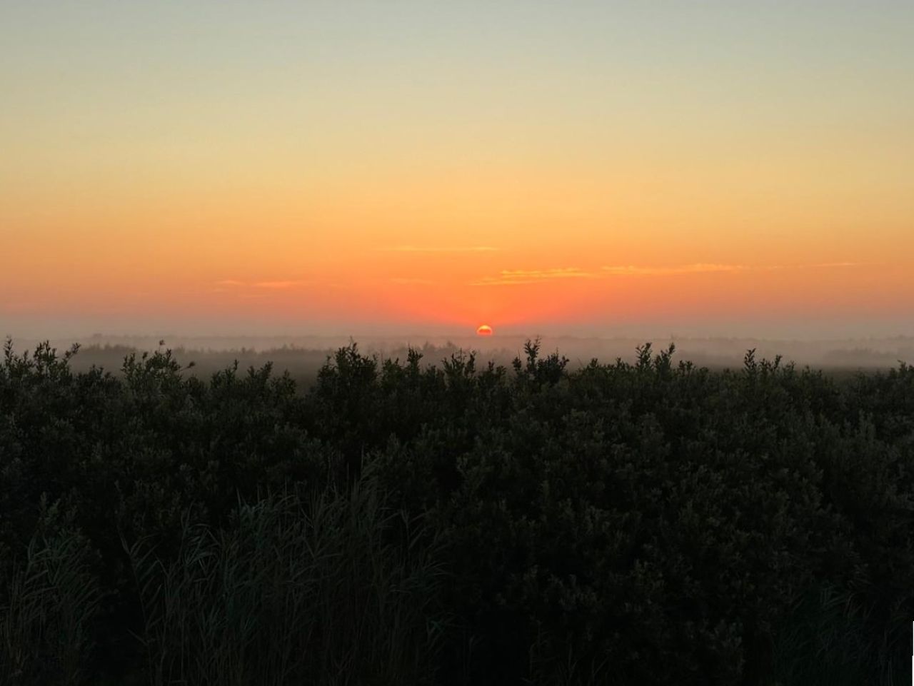 0907 sunrise