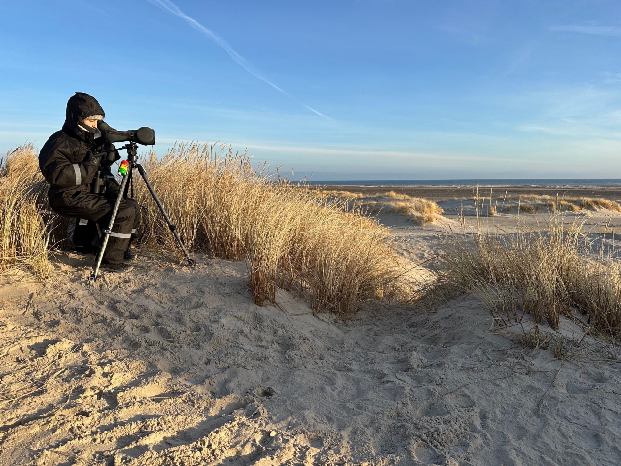 260321 Alix migration