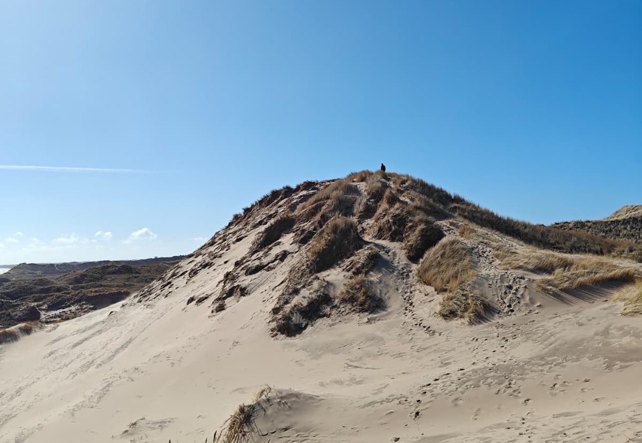 Alvin on stokmilen 040426