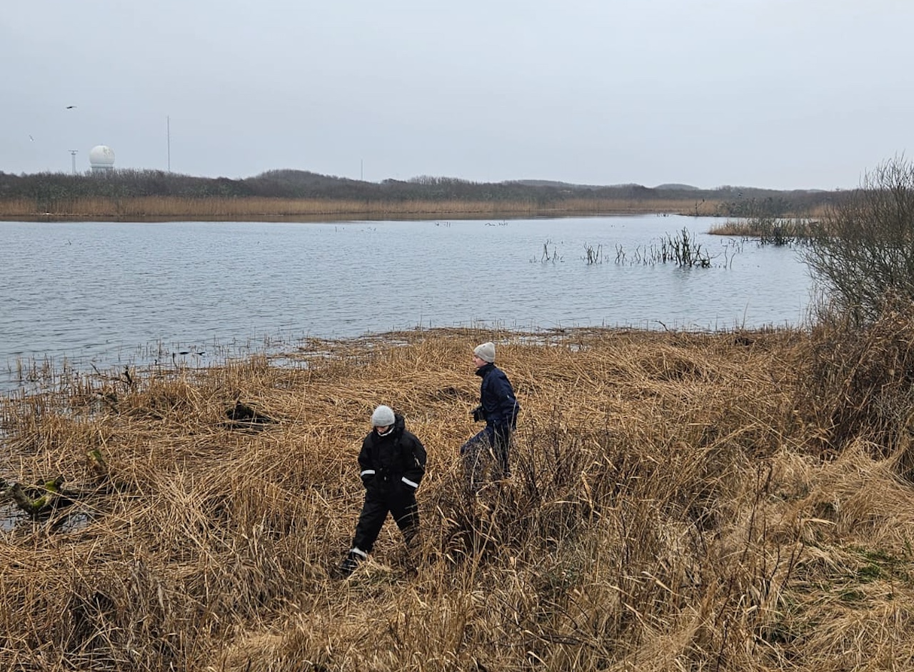 cormorant lake survey 11 03 26