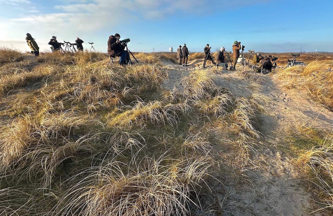 many people north beach 11 04 2026