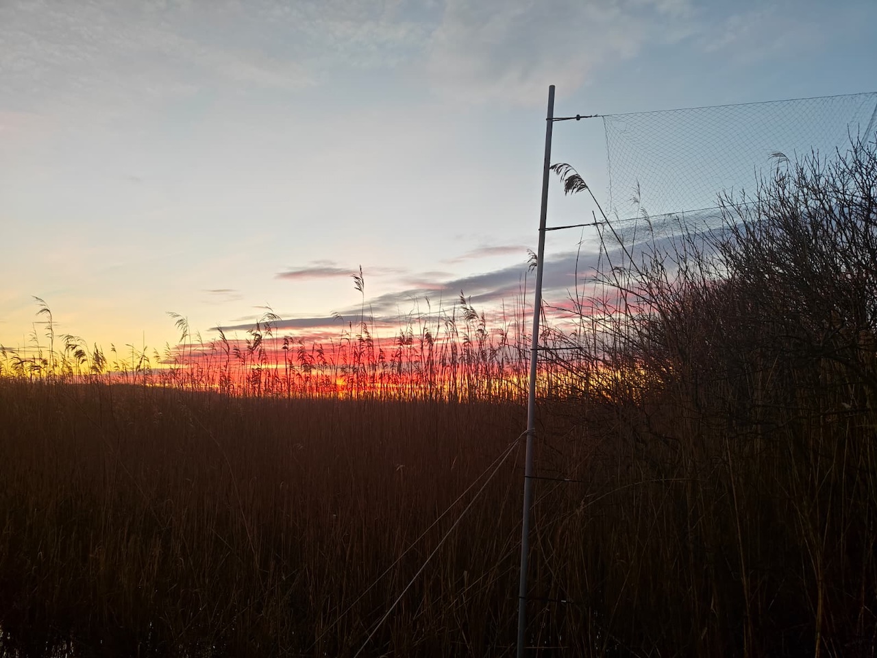 sunrise and net 20 03 26