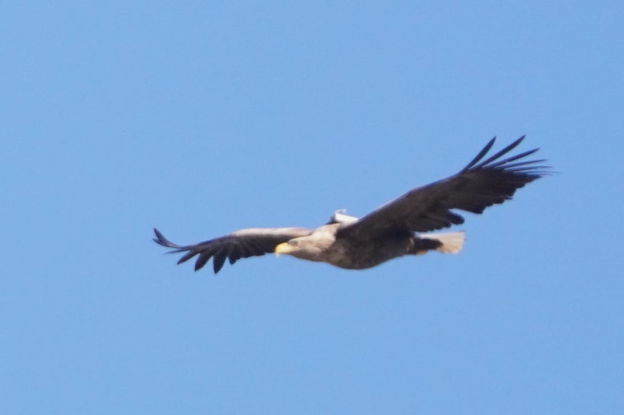 tagged WTE 2026 03 27 1