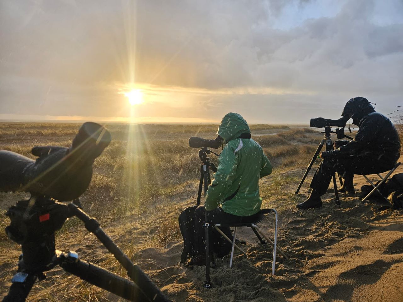Migration Count 2026 05 16 Alvin Johansson