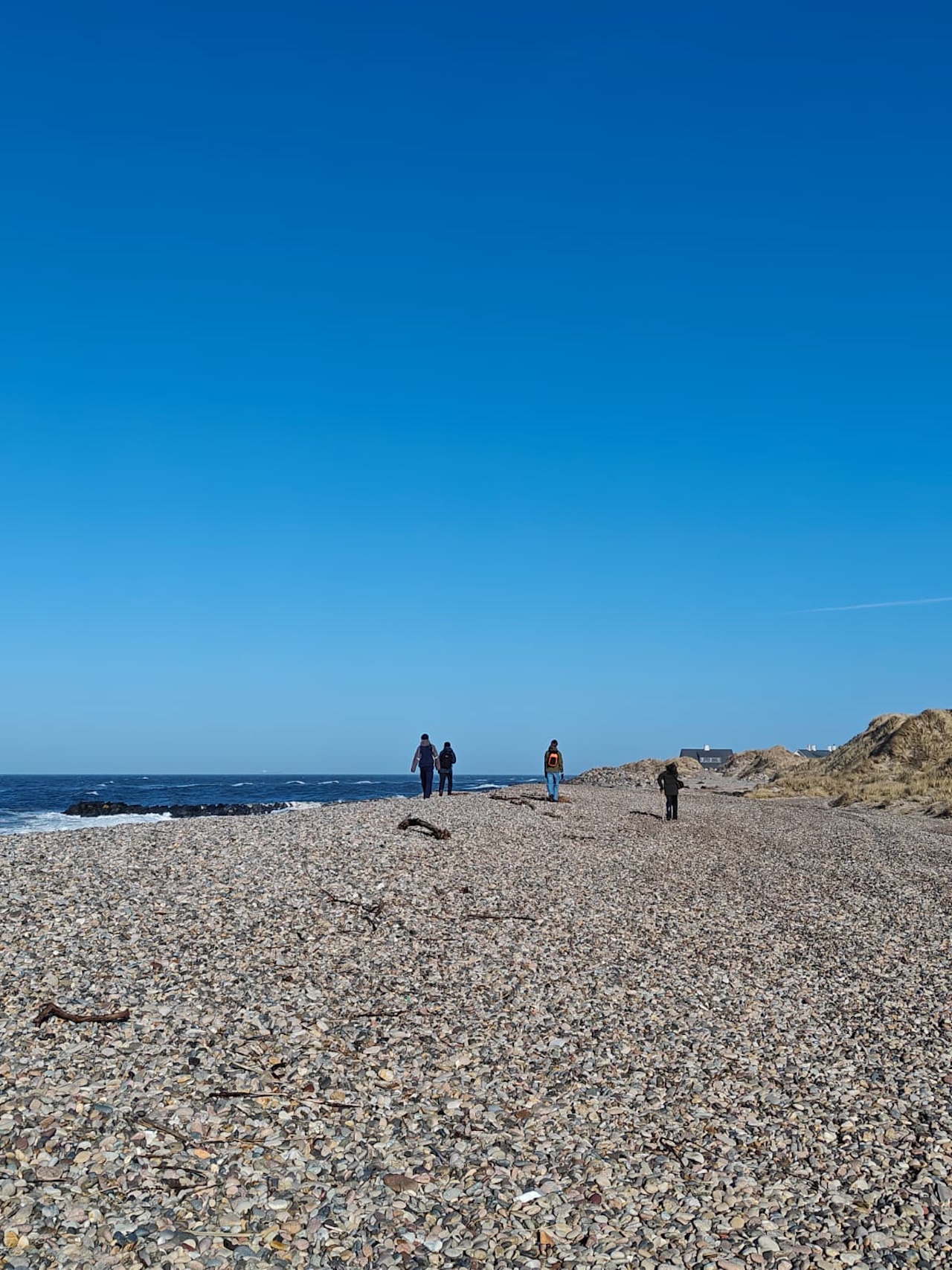 beach walk 2 03 03 26