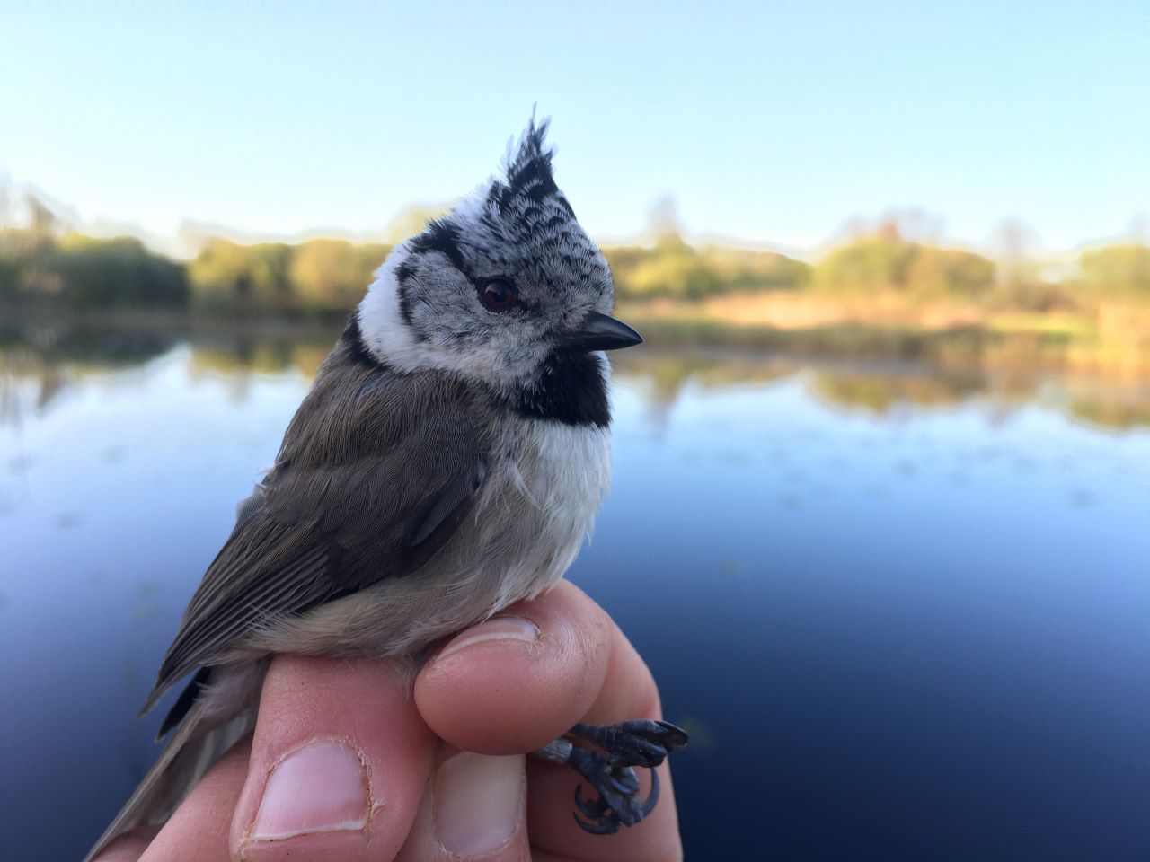 cute tit