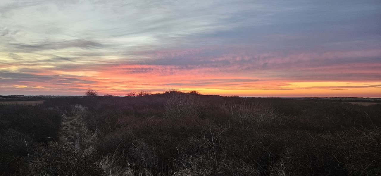 sunset blog 20250404