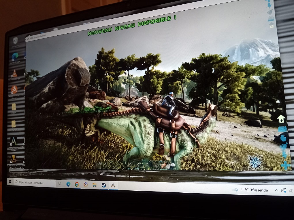 Dino_OBS_24112024.jpg