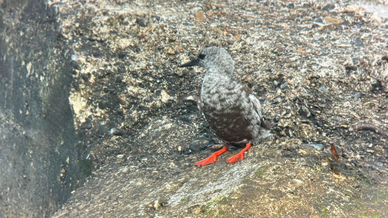 IMG-20260817-WA0009_blog.jpg