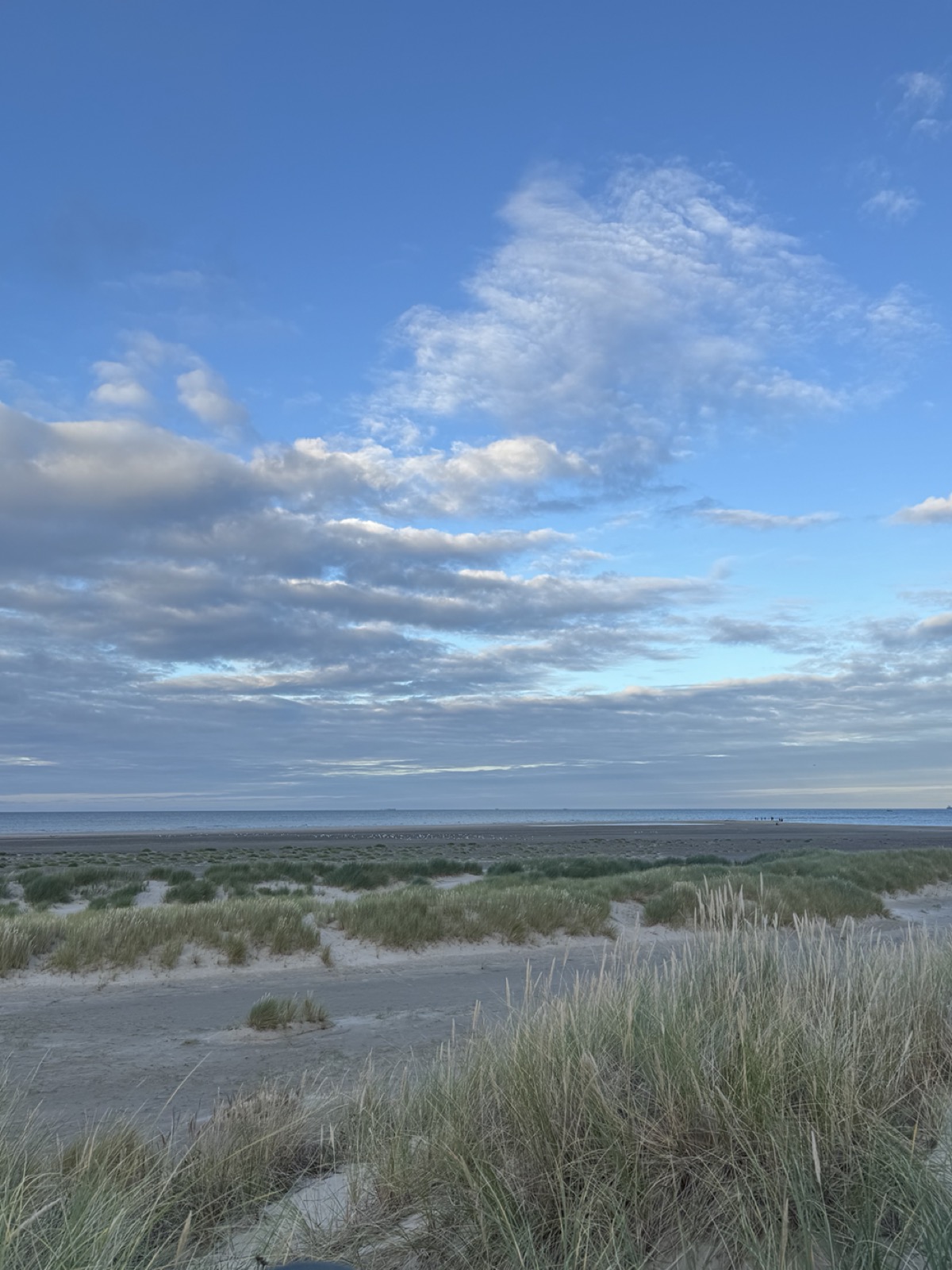 IMG_2192_düne.jpg