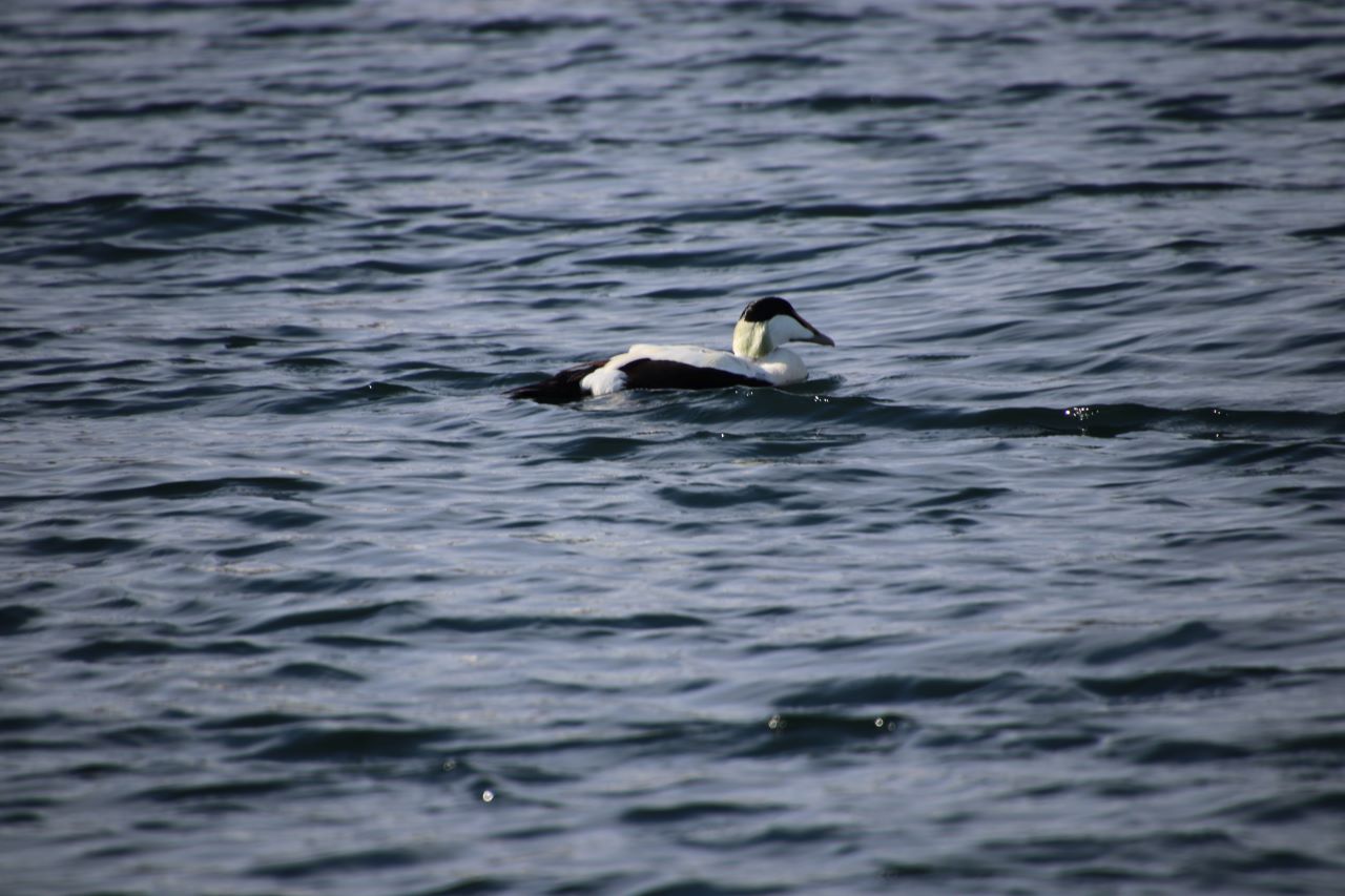 IMG_579008.06.2024.JPG