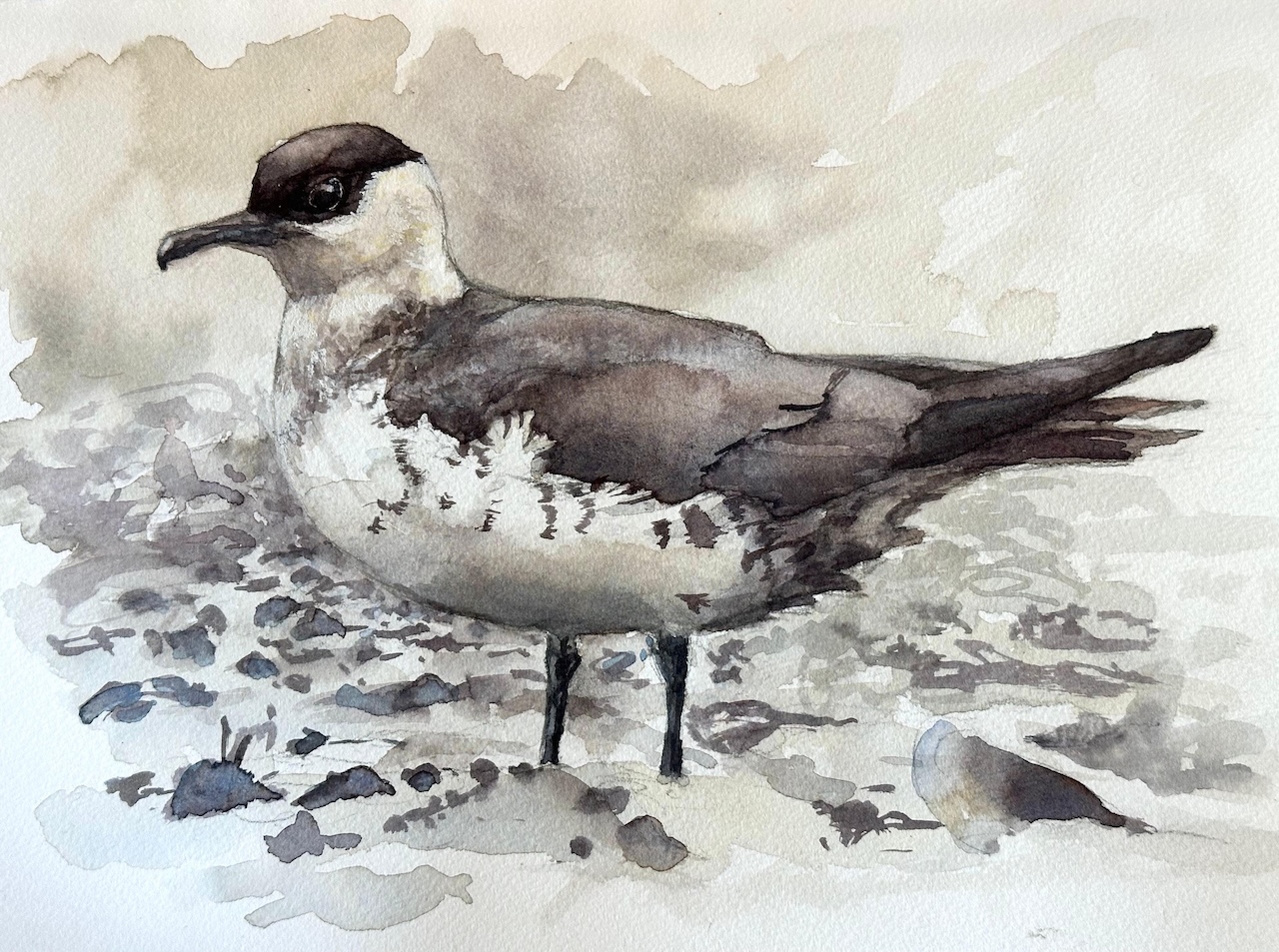 JHPAINTING 7826