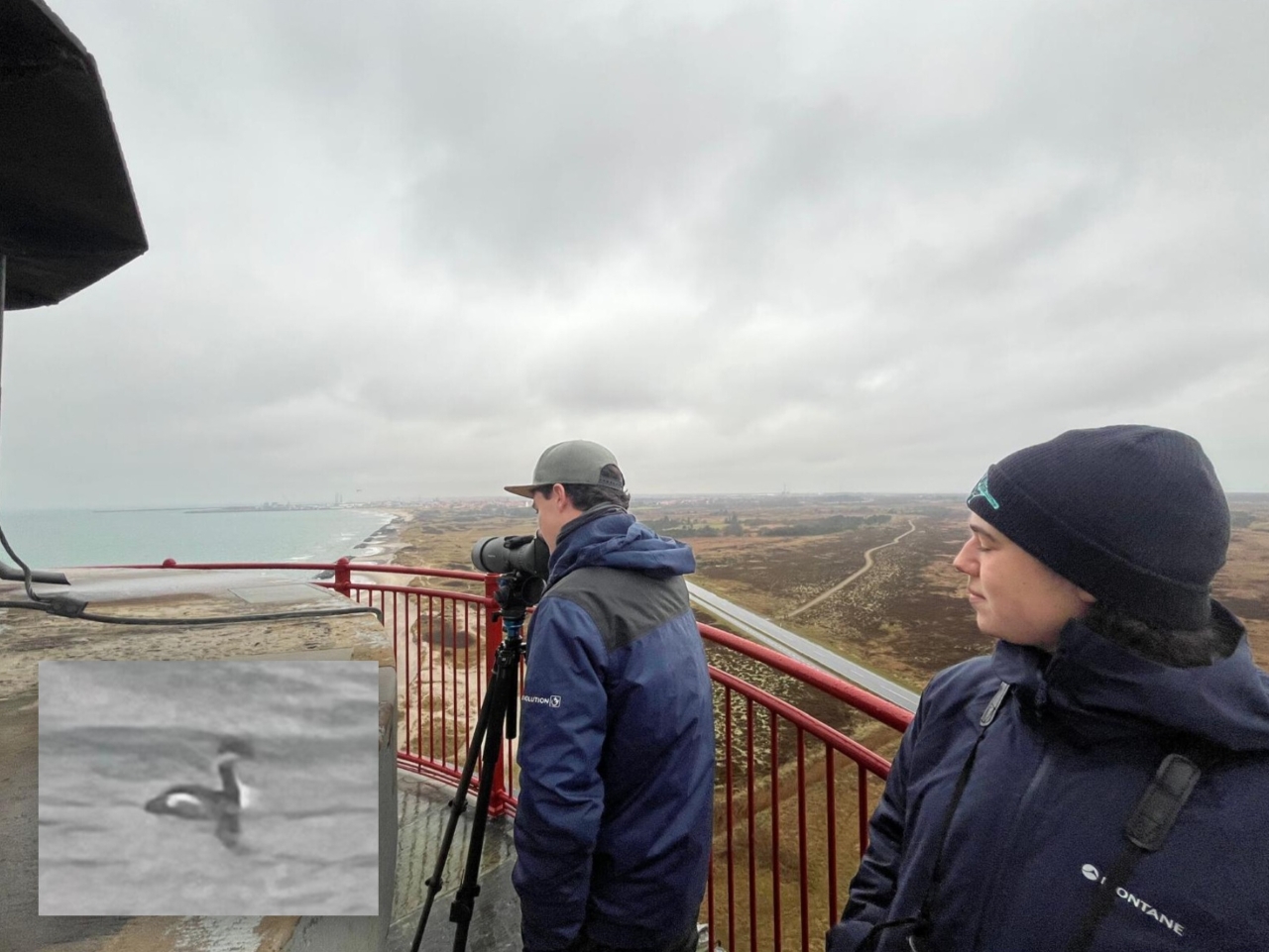 Lighthouse twitch 251204