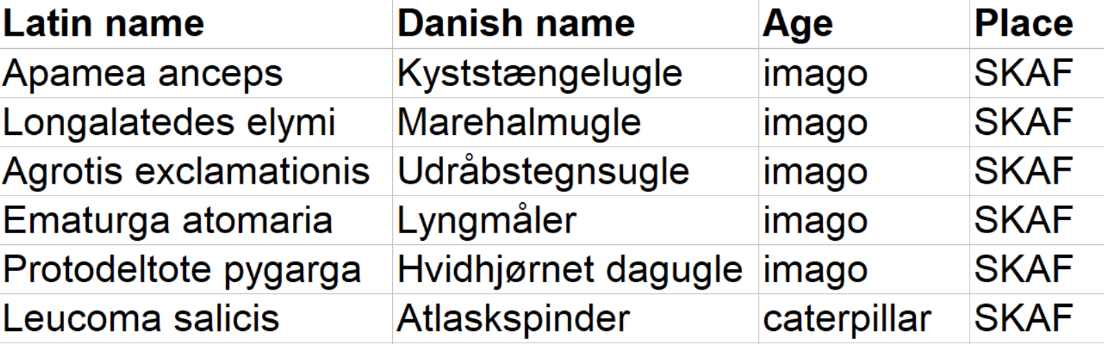 Moths_Skagen_11.06.25.png