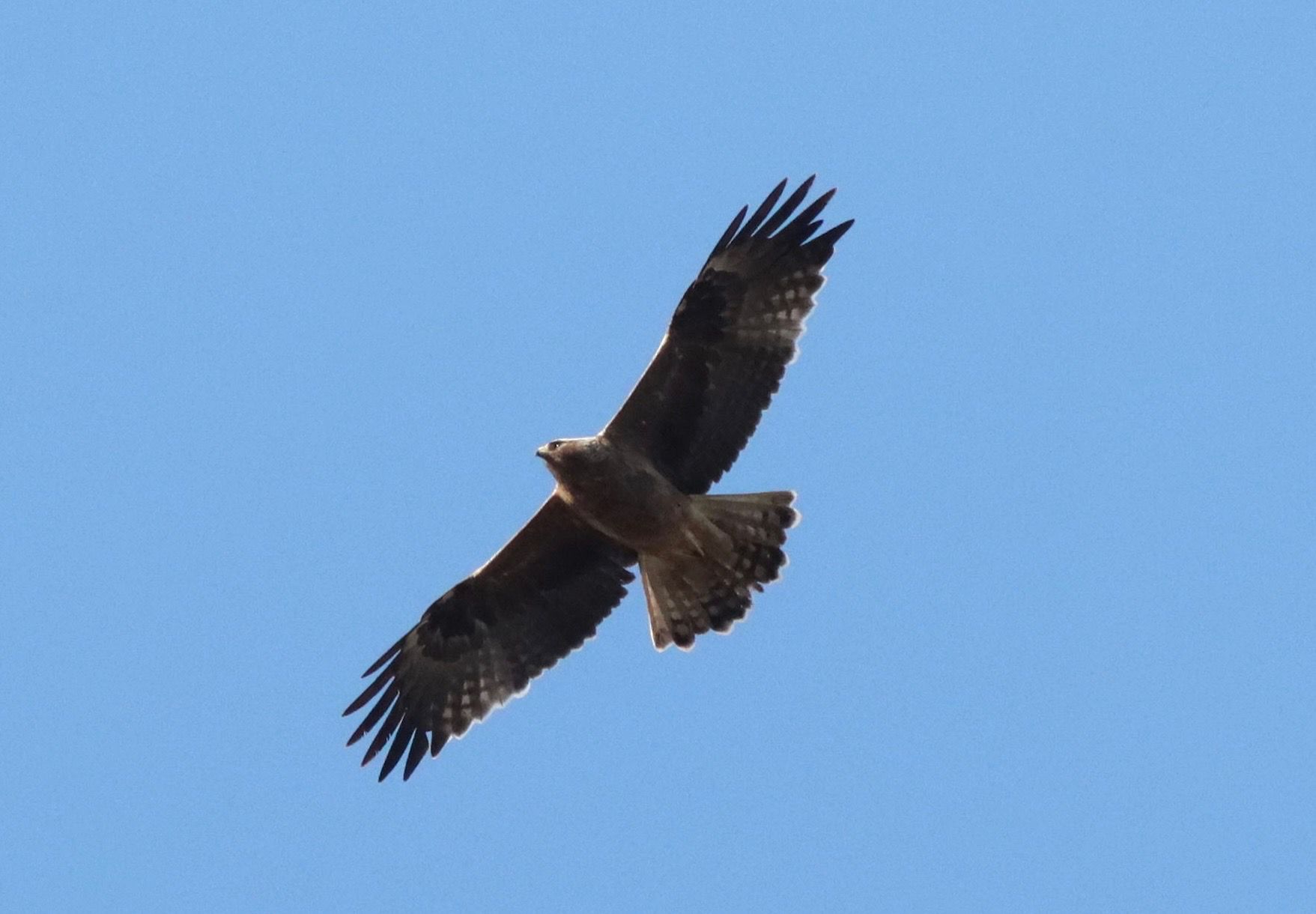 PHOTO 2025 05 11 21 11 01