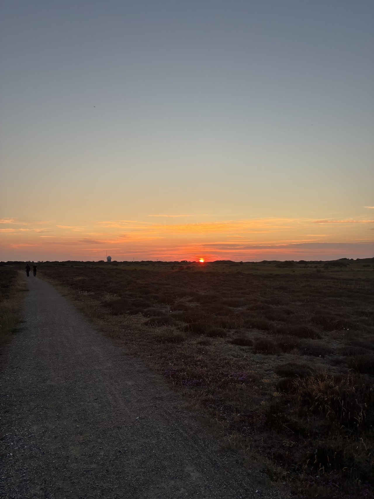 SUNSET 71326