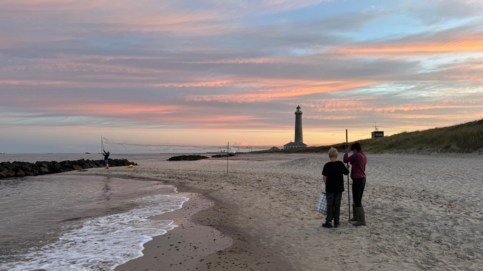 Setting_up_storm_petrel_nets.jpg